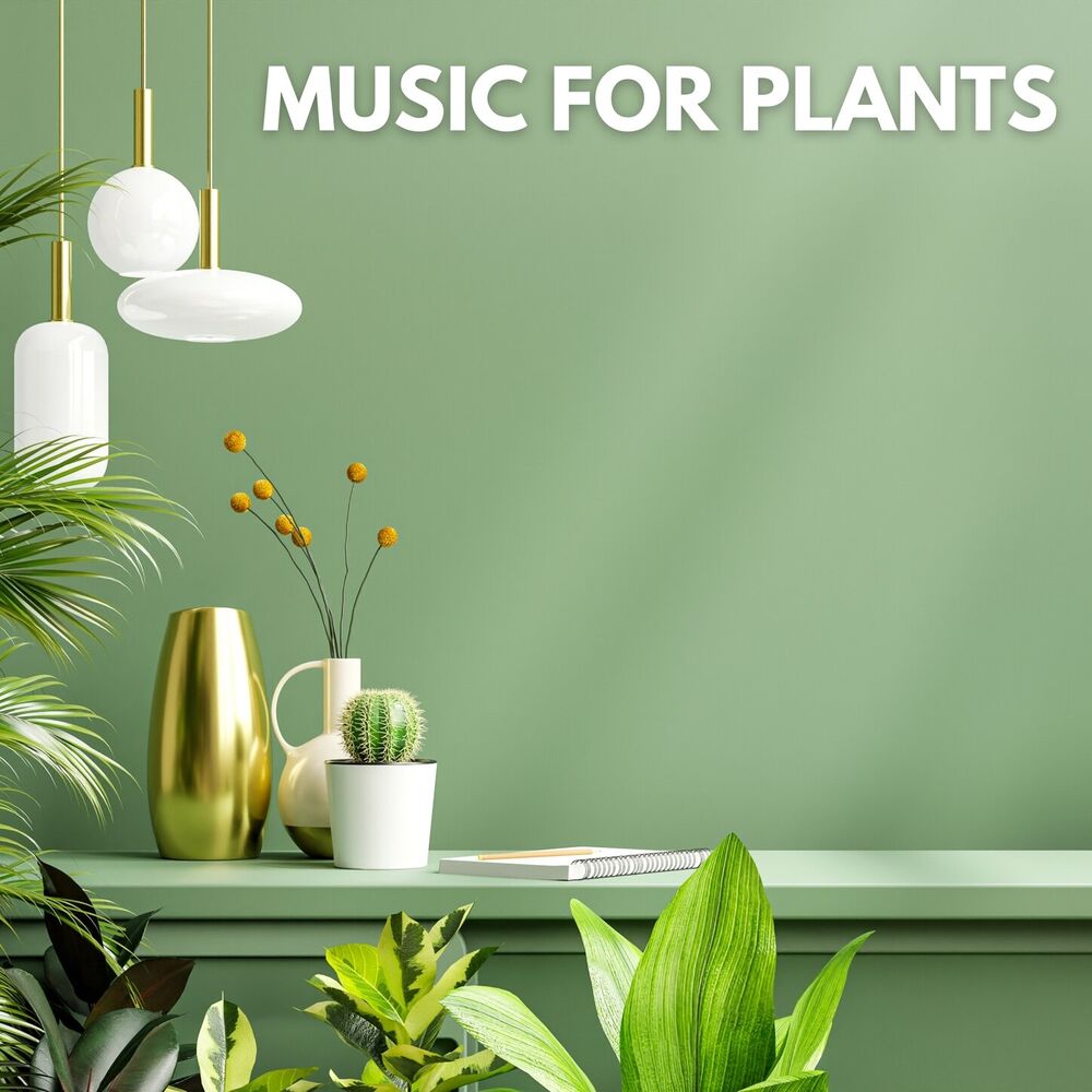 Picture of Music for Plants