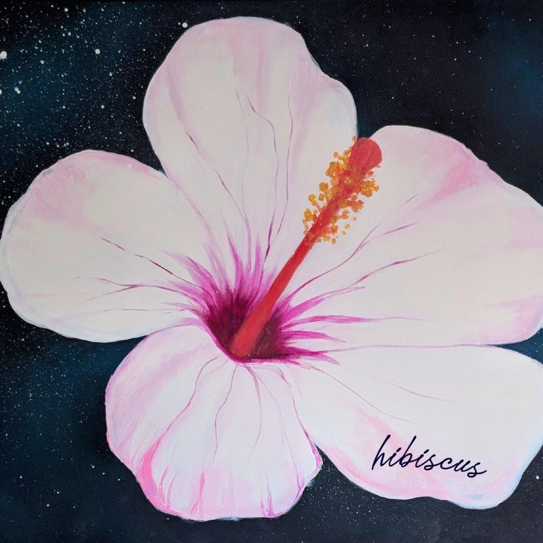 Album cover of Hibiscus