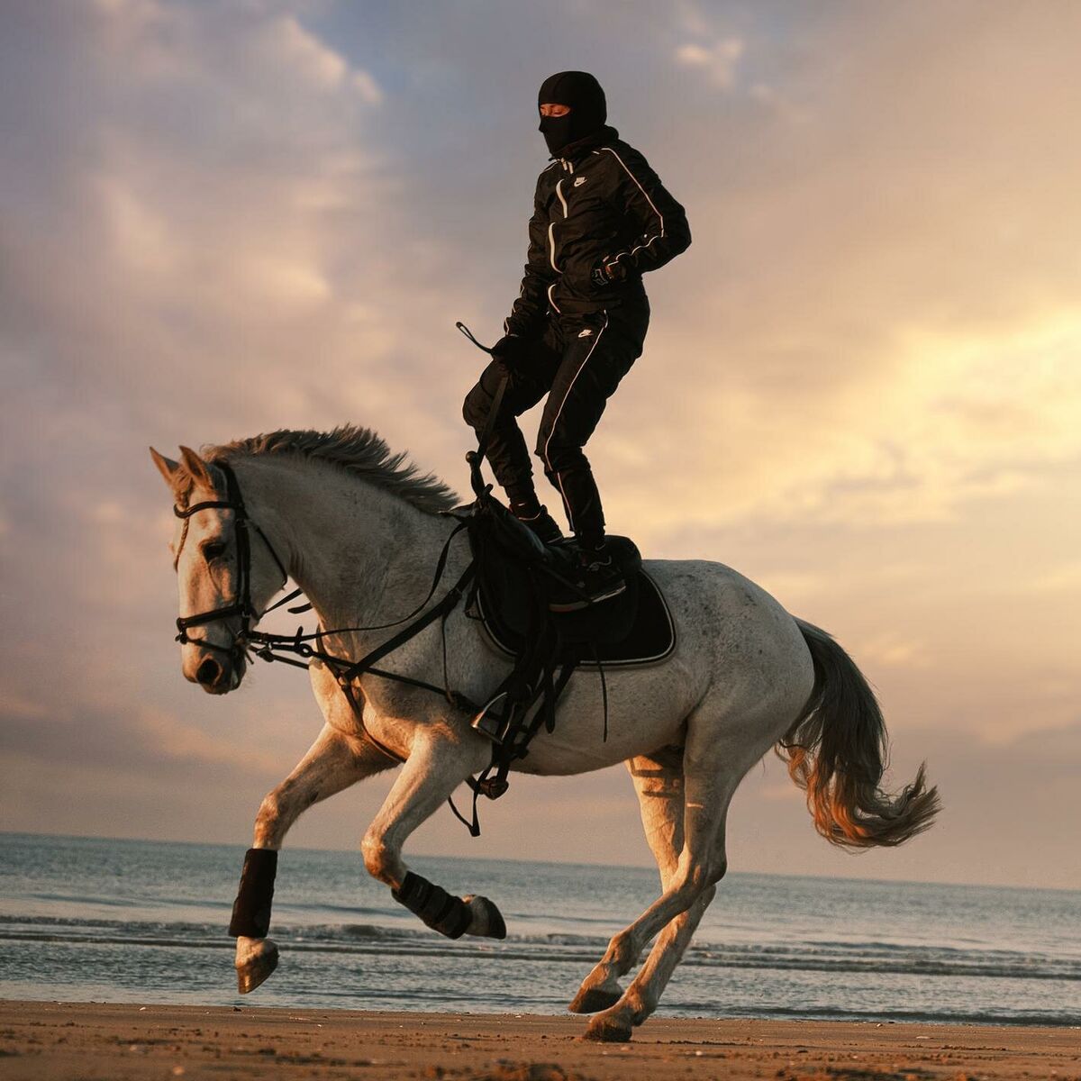 Album cover of Romance & Rodéo