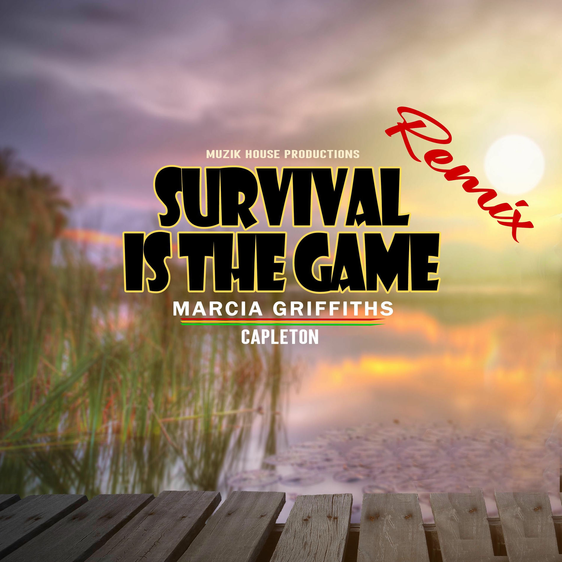 Album cover of Survival Is The Game (Remix)