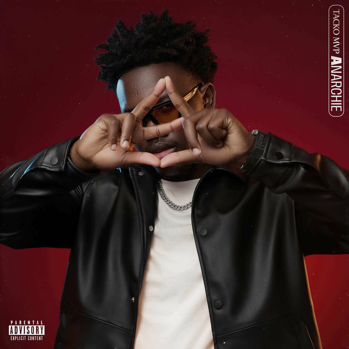 Album cover of Anarchie