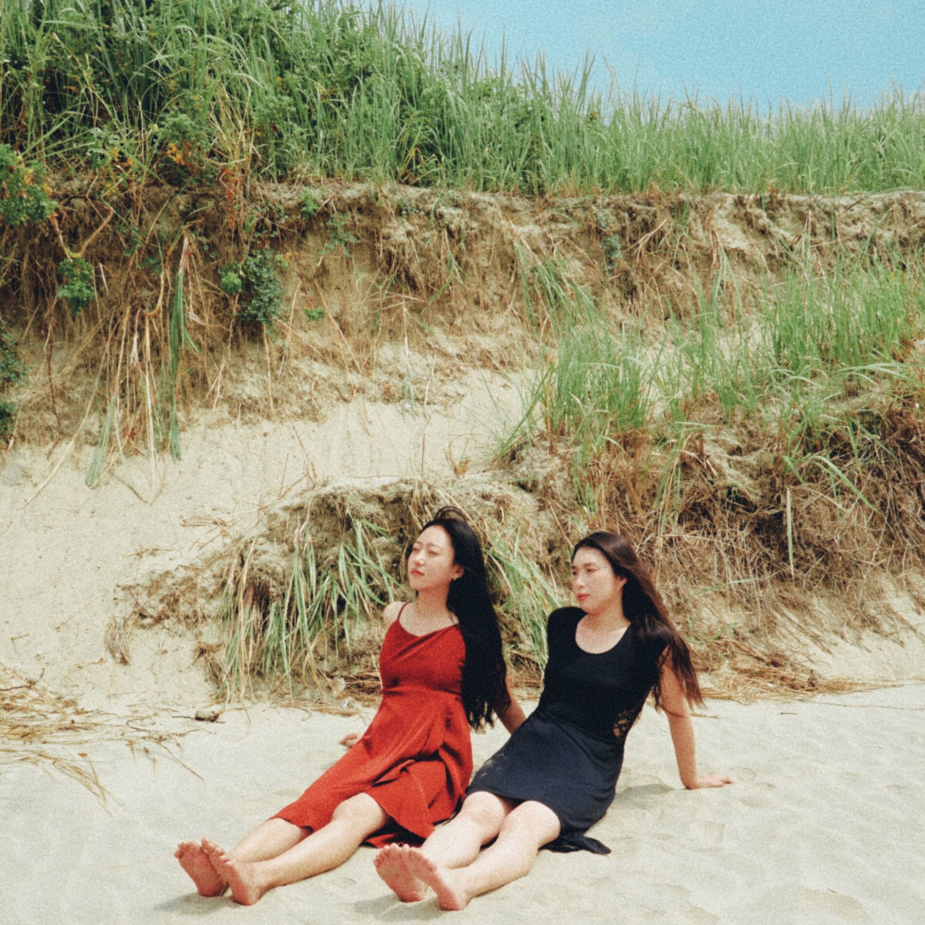 Album cover of Mustang & The Free Lady