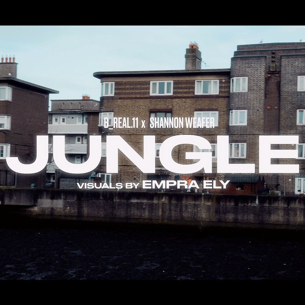 Picture of Jungle