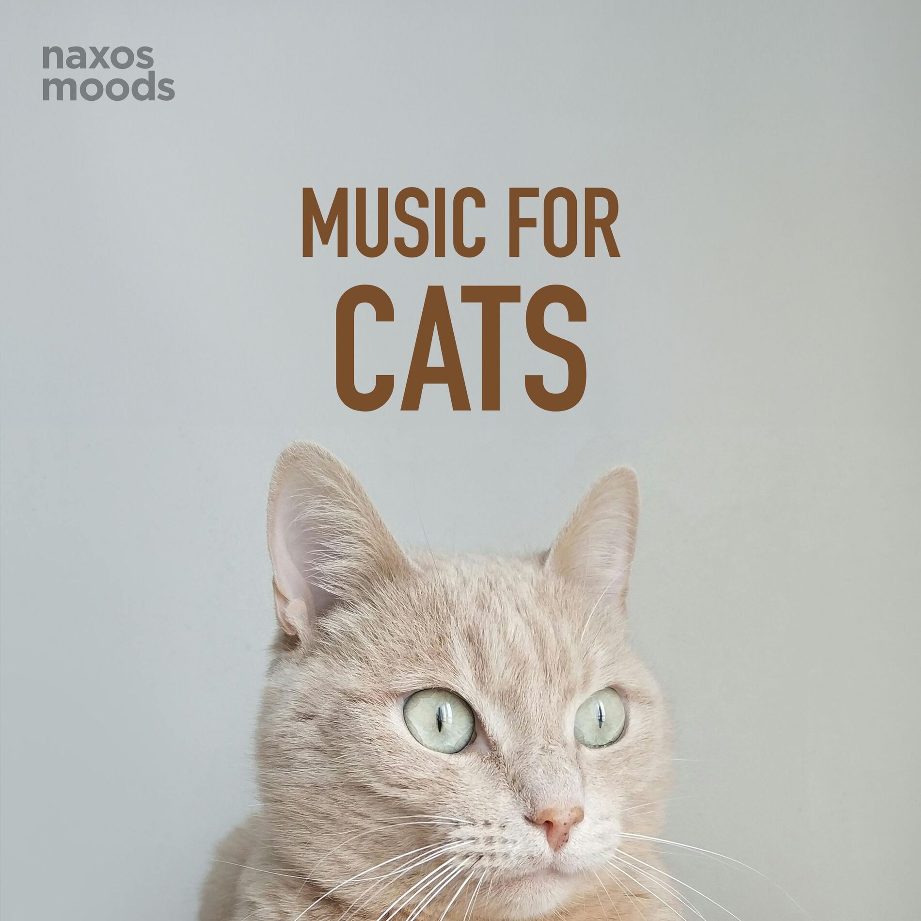 Album cover of Orchestral Suite No. 3 in D Major, BWV 1068: II. Air (