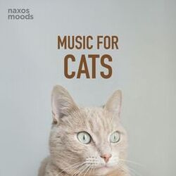 Cover of Music for Cats