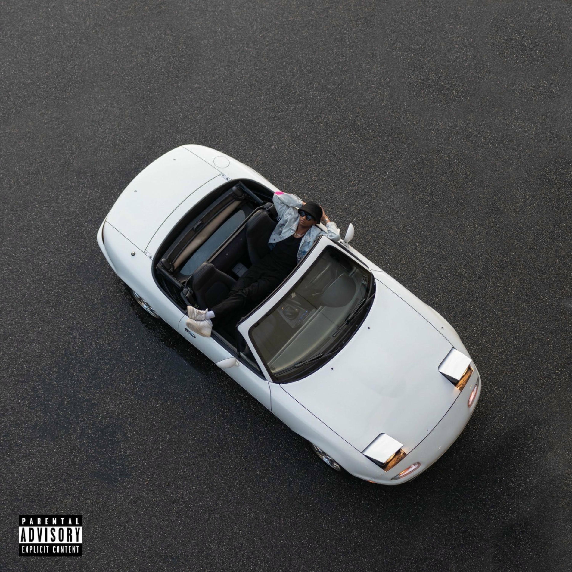 Album cover of Palisades