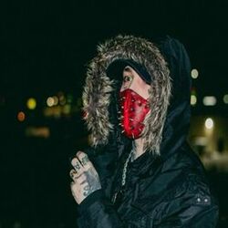 Cover of NECK