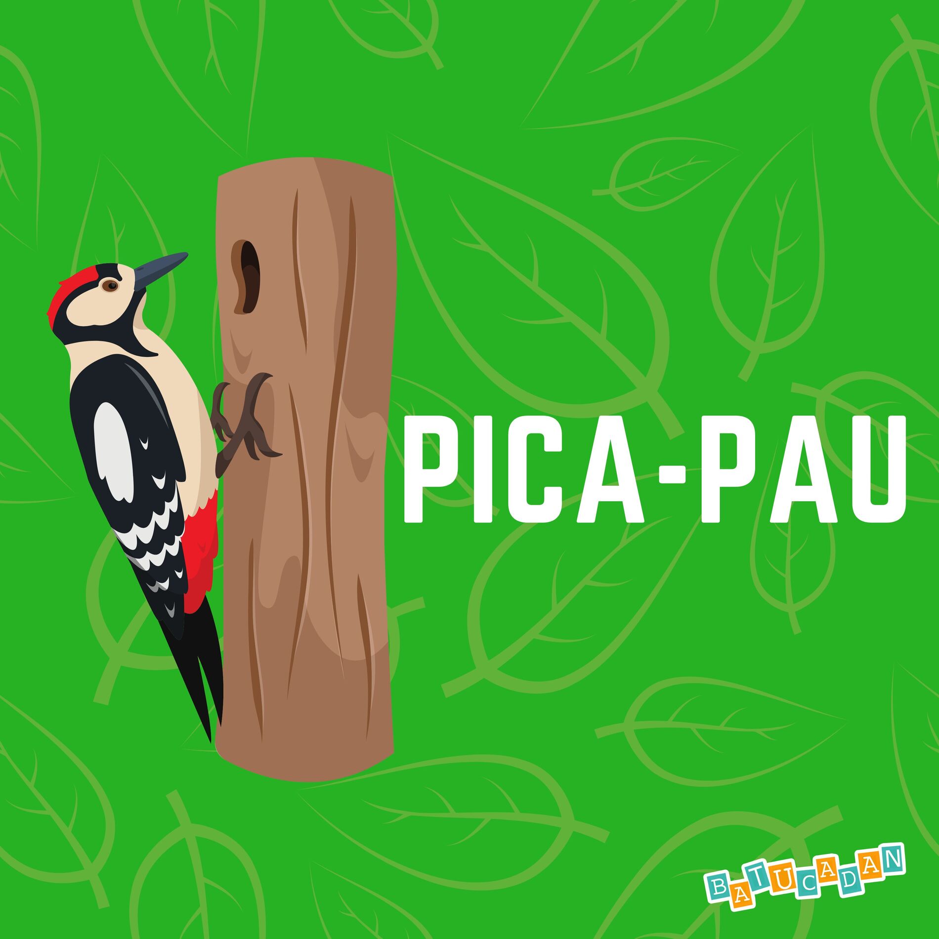 Album cover of Pica-Pau