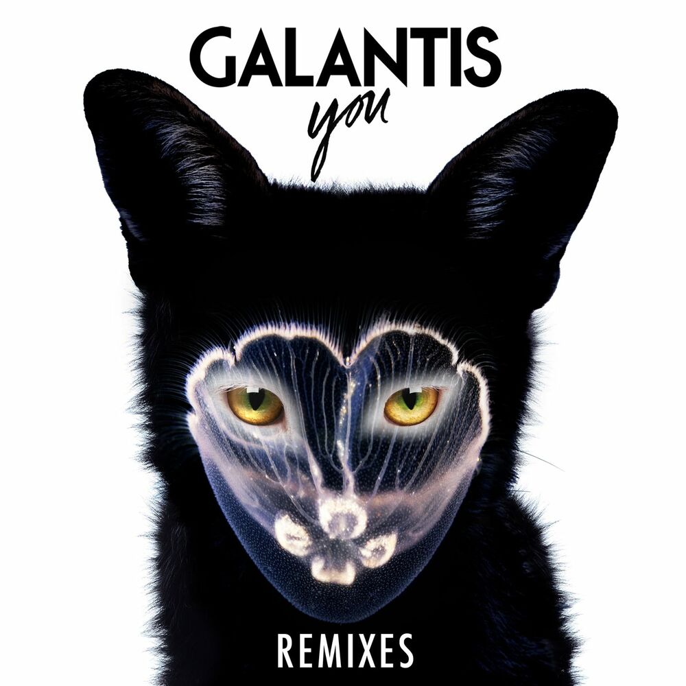 Picture of You Remixes
