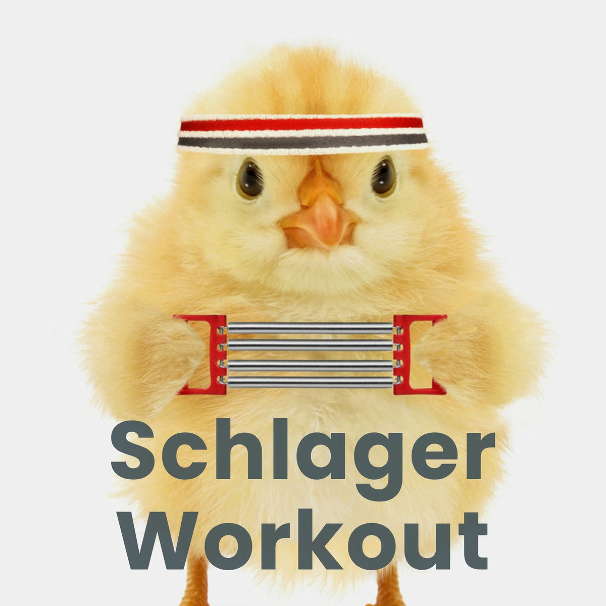 Album cover of Schlager Workout