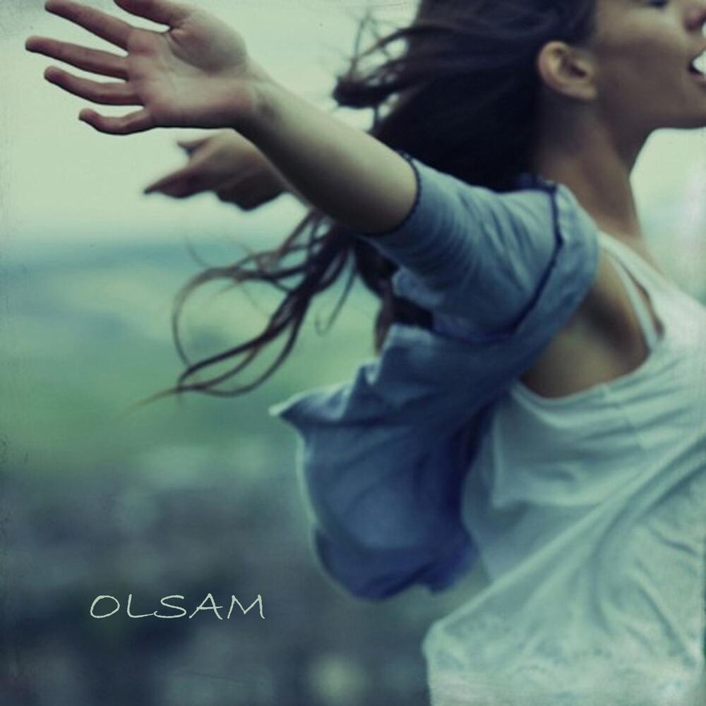 Picture of Olsam