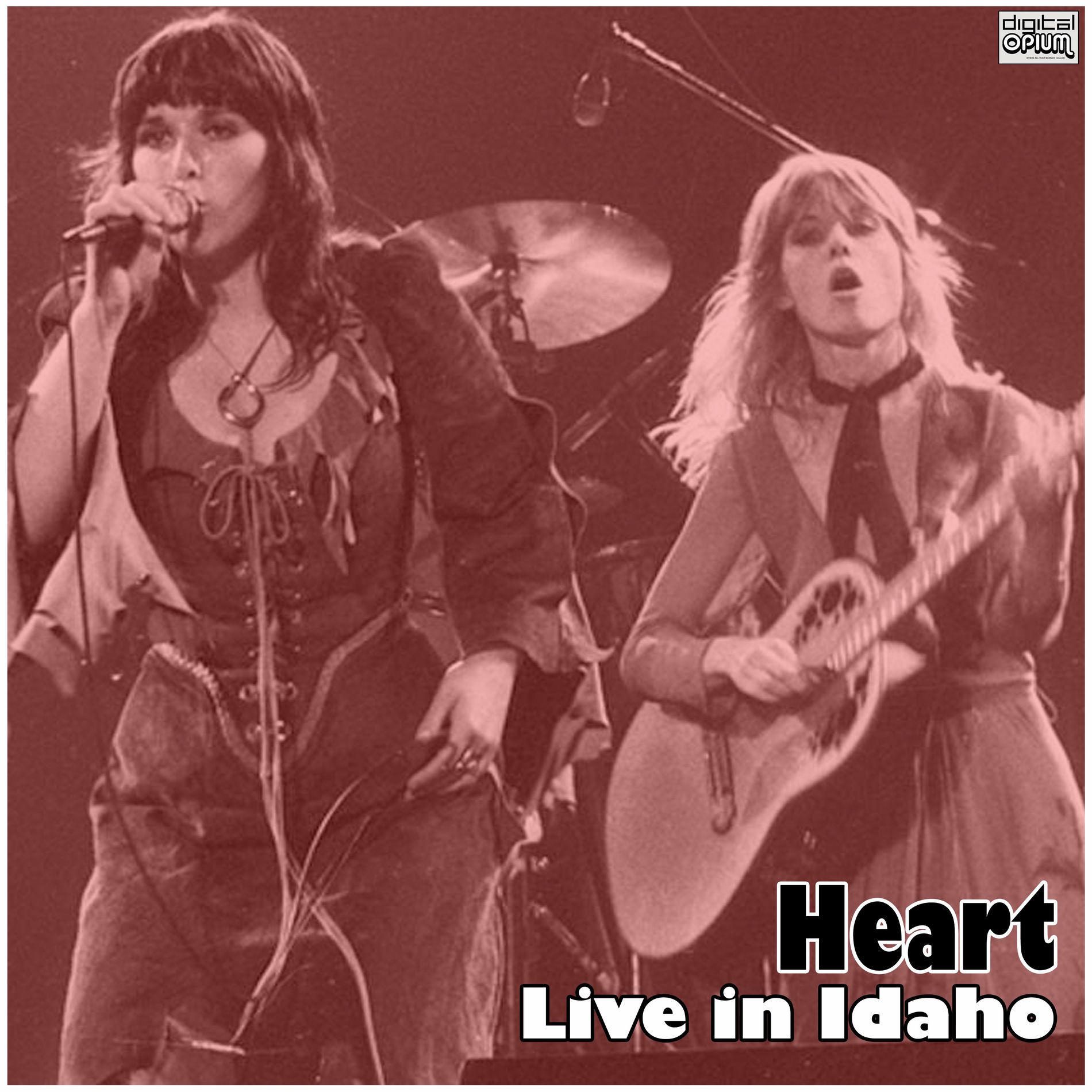 Album cover of Live in Idaho (Live)