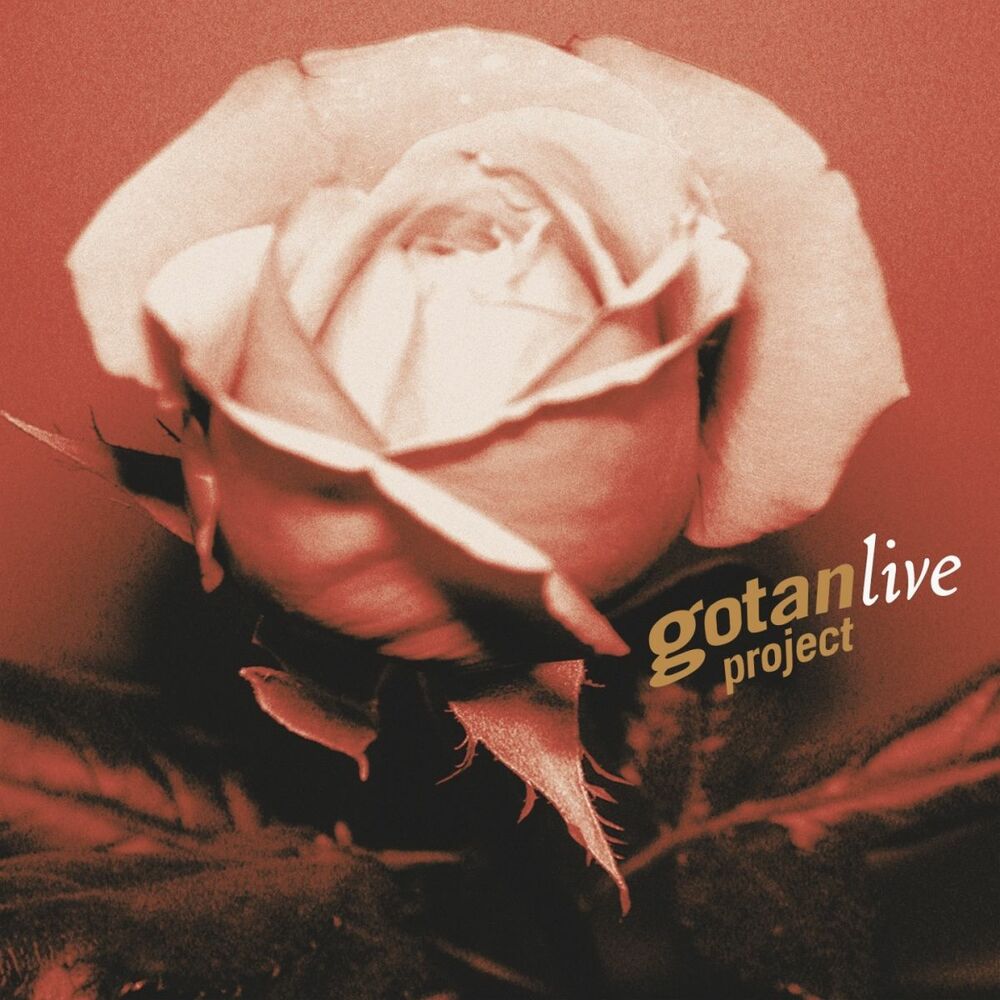 Picture of Gotan Project live