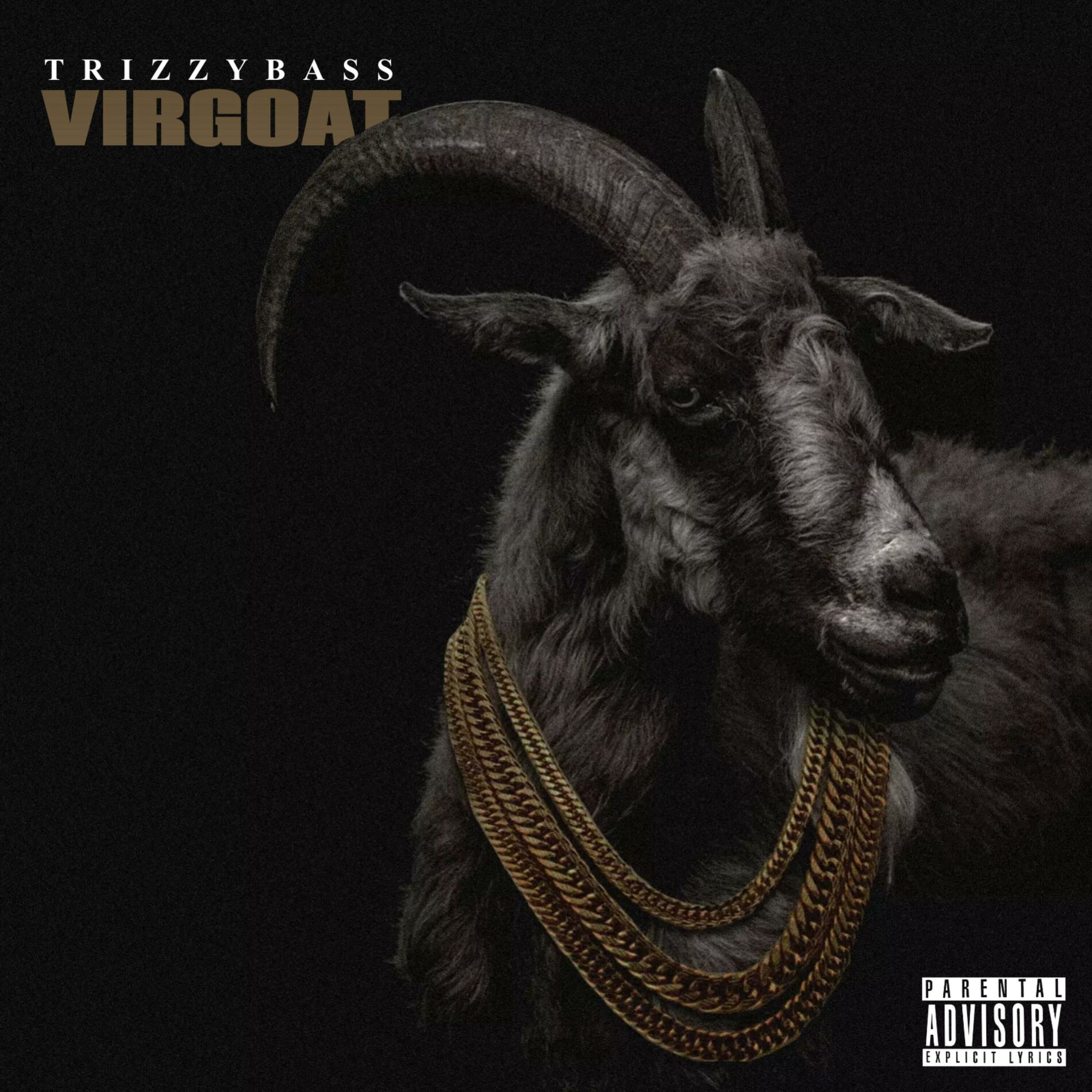Album cover of VIRGOAT