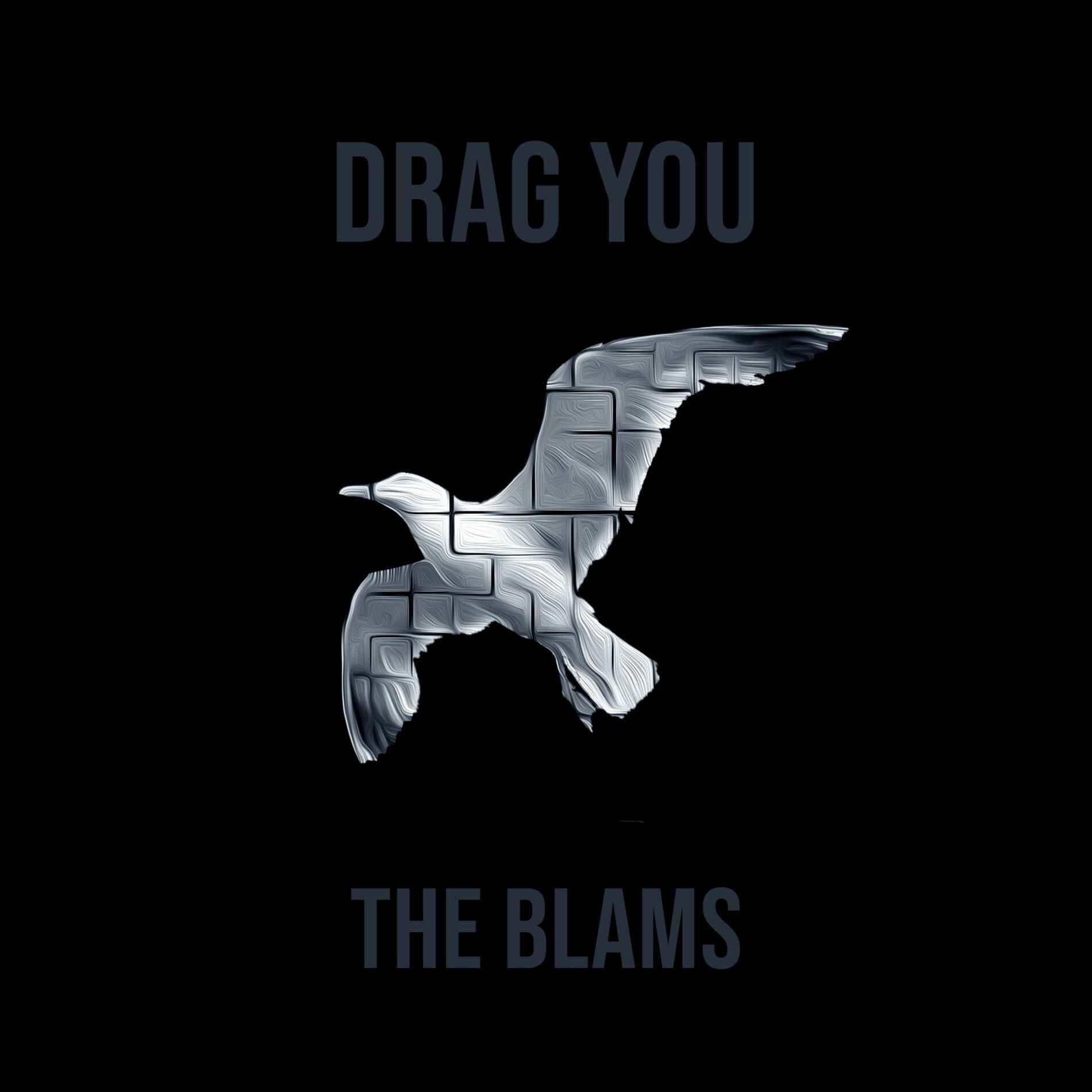 Album cover of Drag You