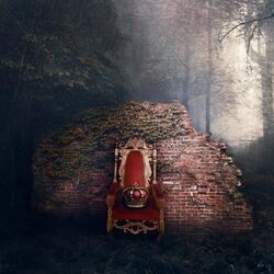 Cover of Illusions
