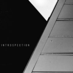 Cover of Introspection