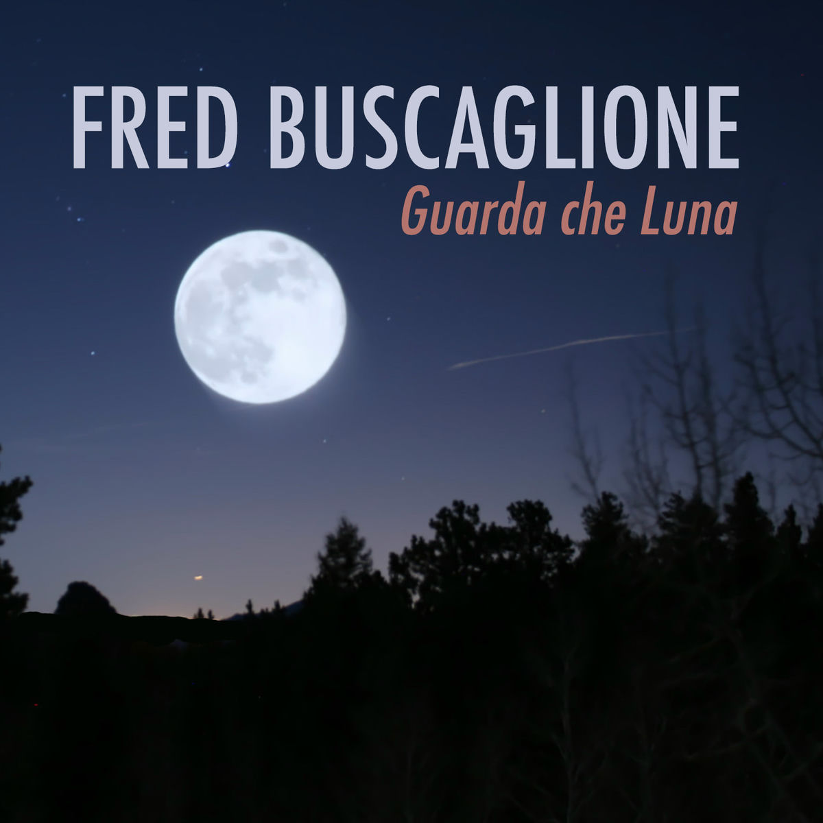 Album cover of Guarda che Luna