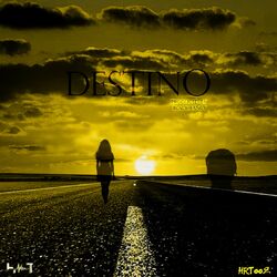 Cover of Destino