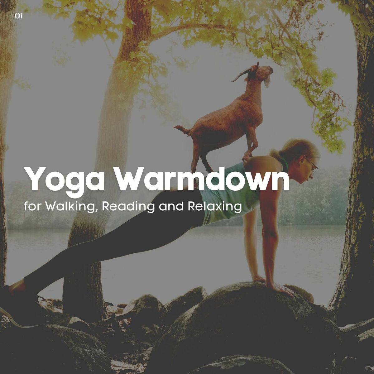 Album cover of Yoga for Balance and Stability