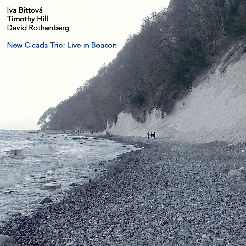 Picture of New Cicada Trio: Live in Beacon
