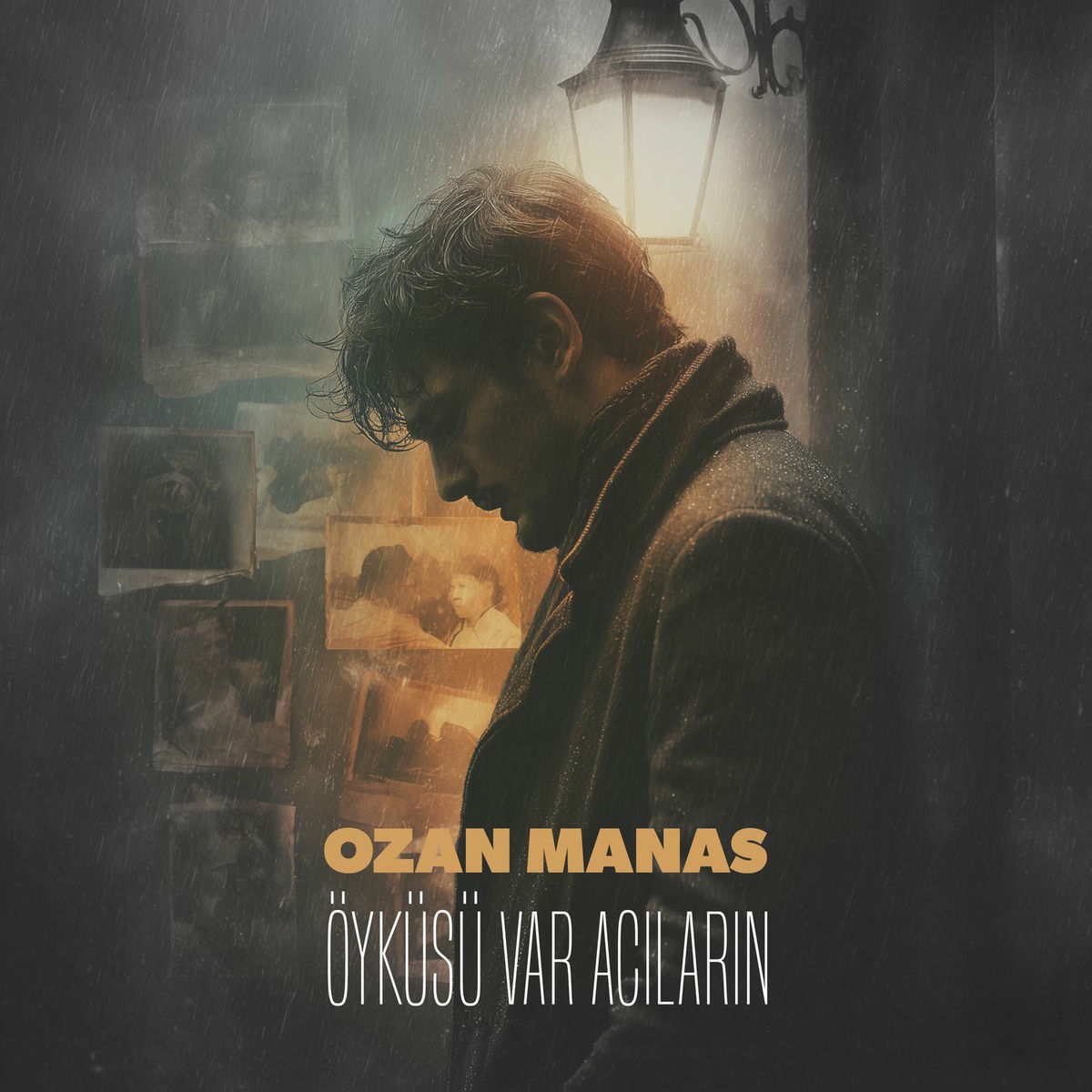 Album cover of Öyküsü Var Acıların