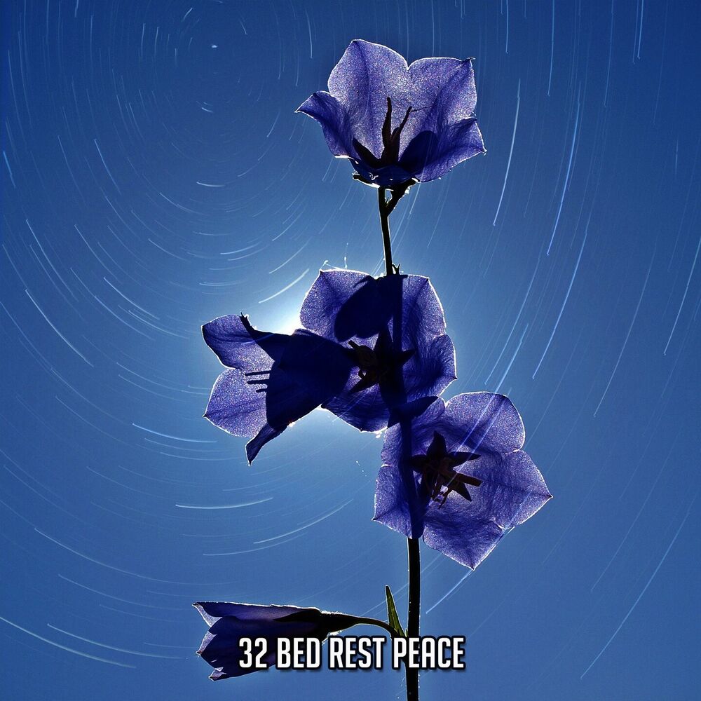 Picture of 32 Bed Rest Peace
