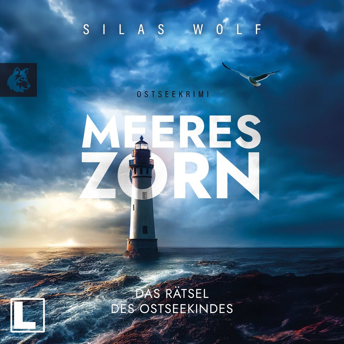 Album cover of Meereszorn - Das Rätsel des Ostseekindes - Sönke Petersen, Band 2 (ungekürzt)