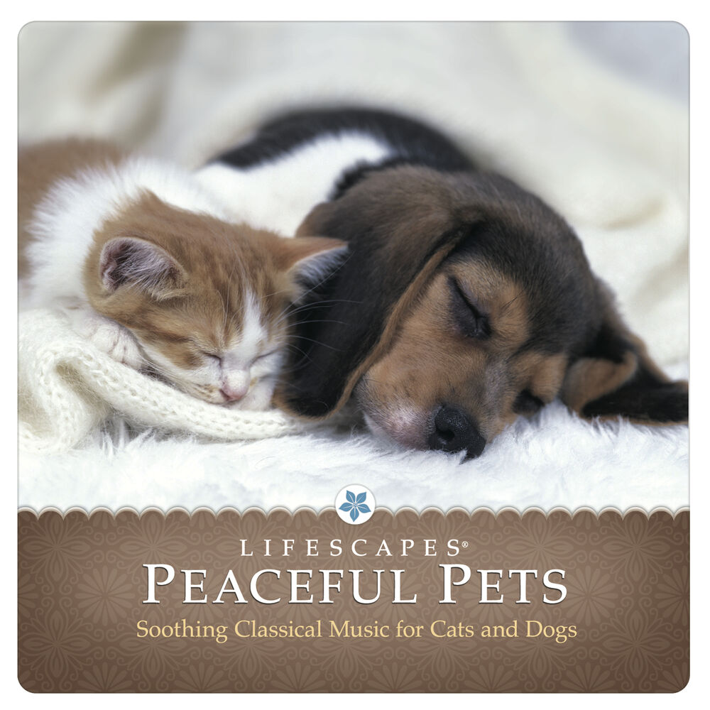 Picture of Peaceful Pets