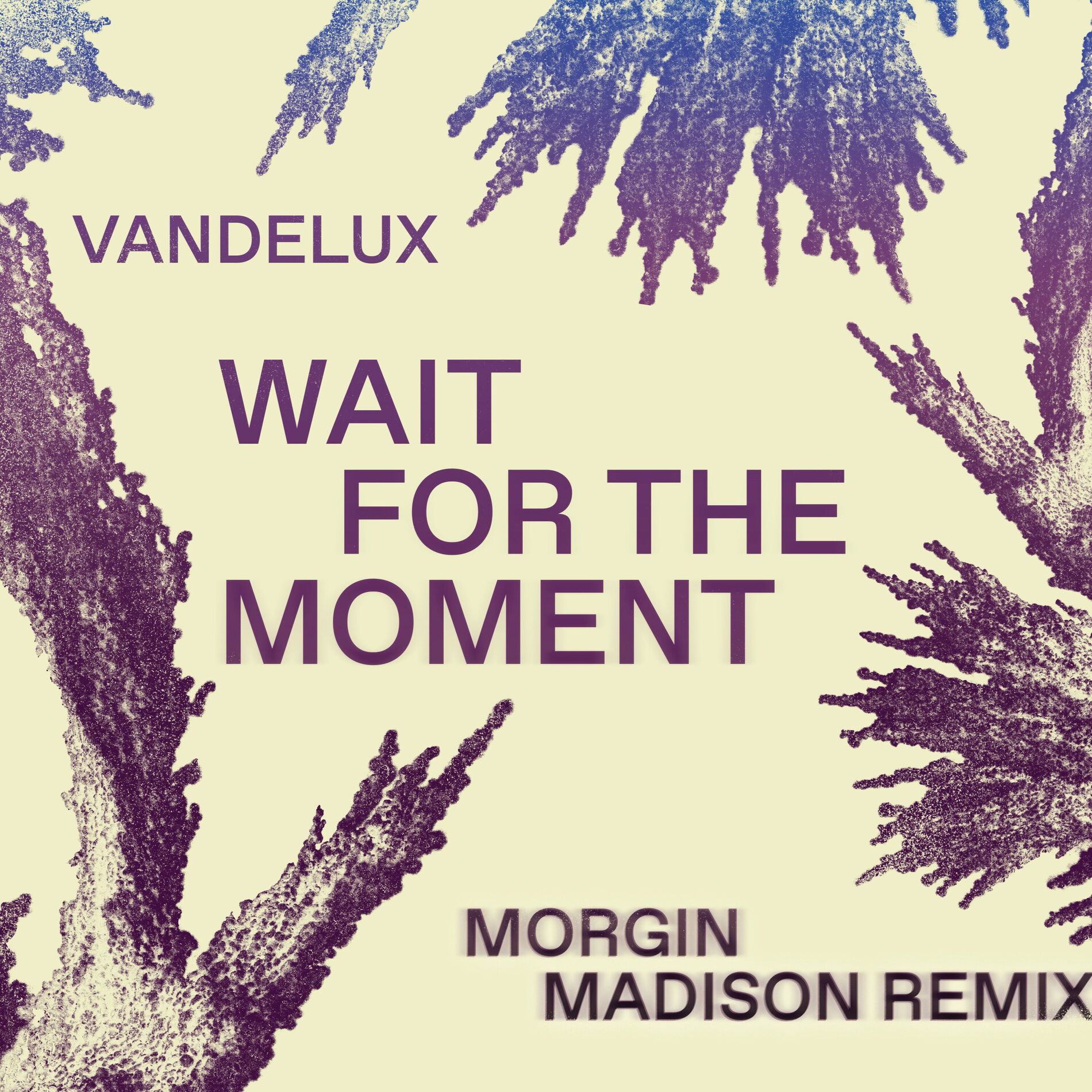 Album cover of Wait For The Moment (Morgin Madison Remix)