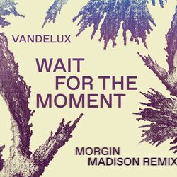 Cover of Wait For The Moment (Morgin Madison Remix)