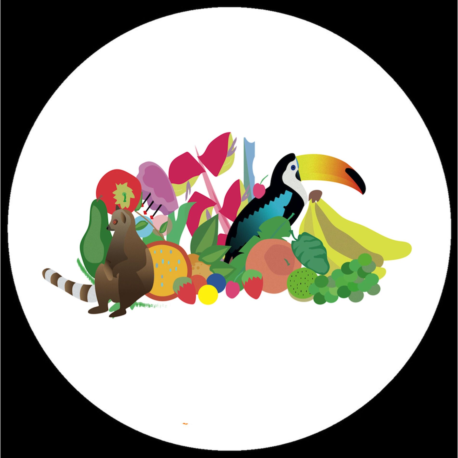 Album cover of Wonders of the Rainforest EP