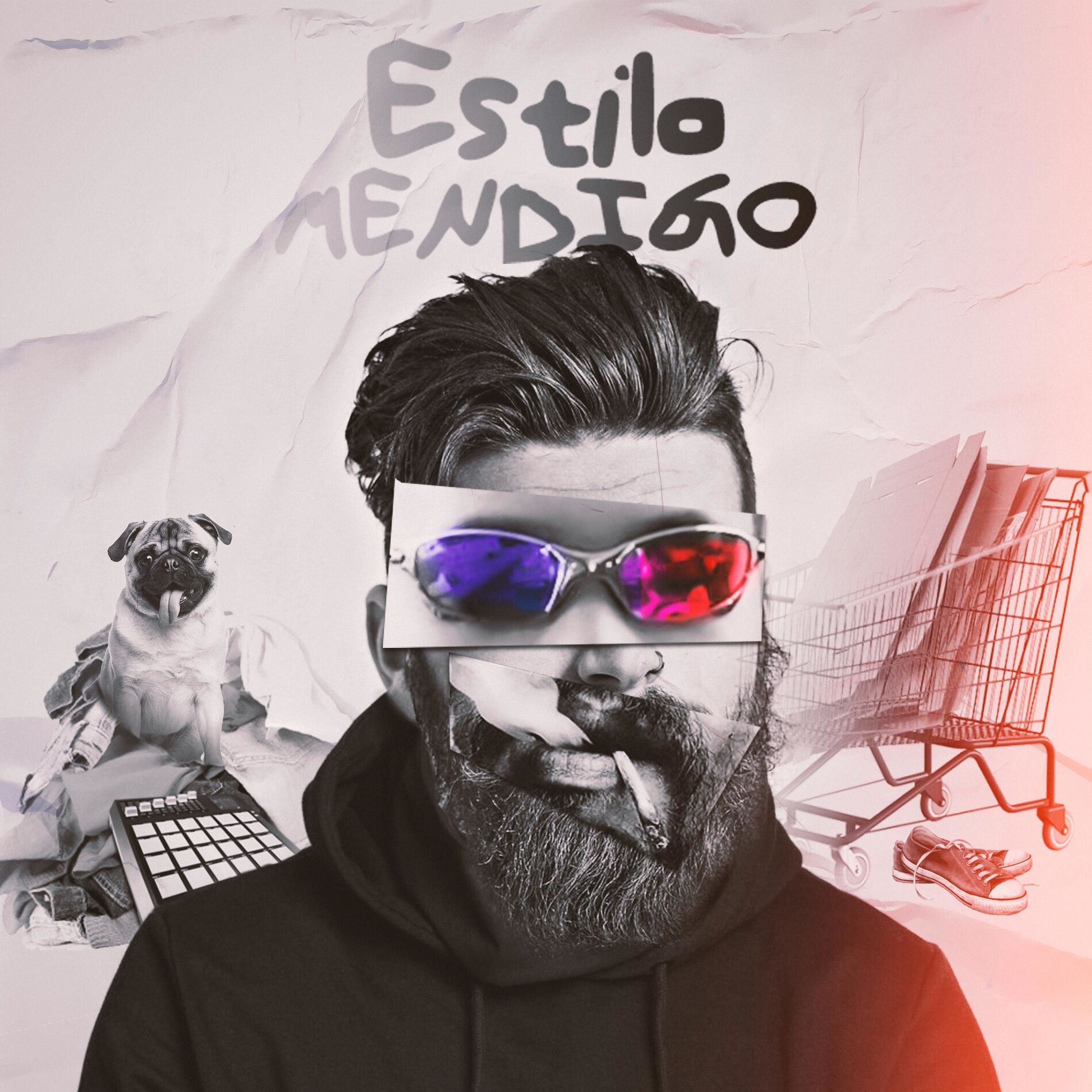 Album cover of Estilo Mendigo