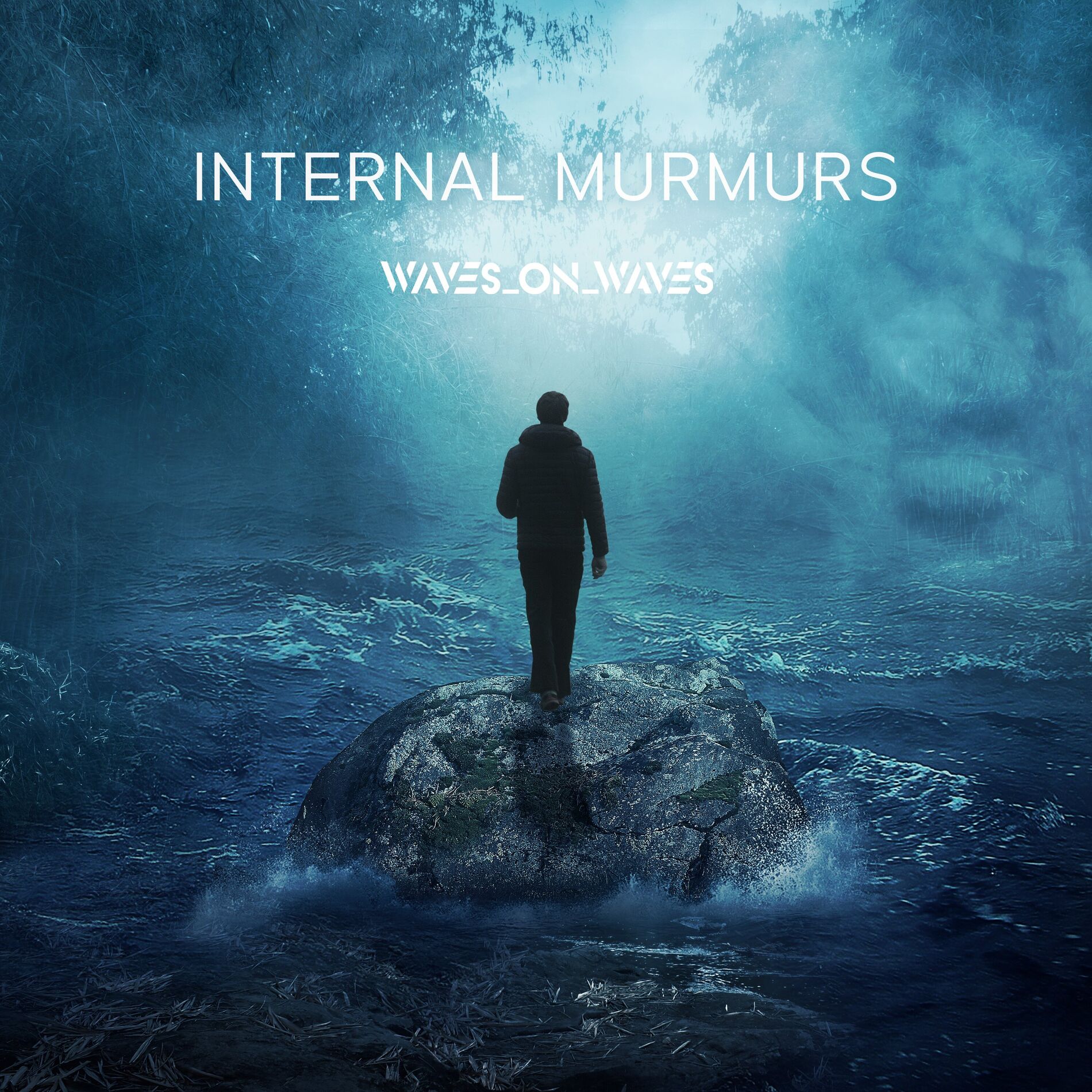 Album cover of Internal Murmurs