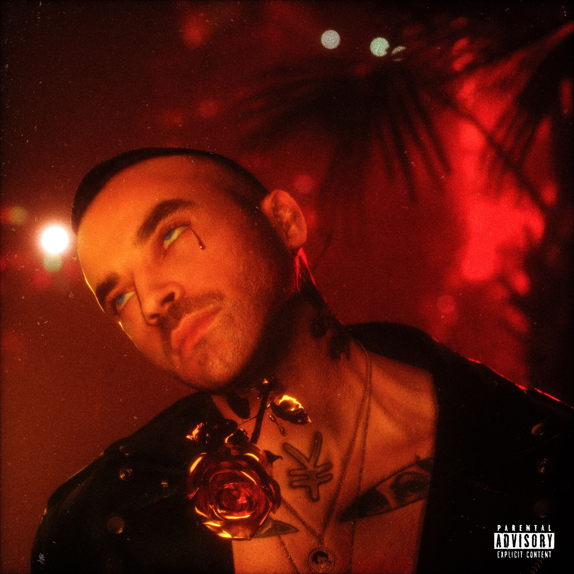 Album cover of Fer