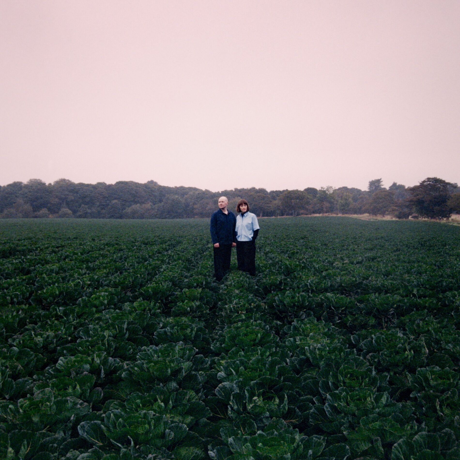 Album cover of Pink Silence