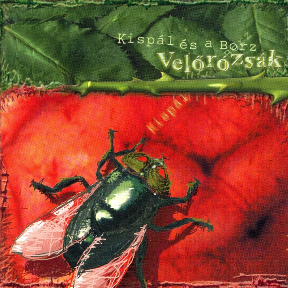 Picture of Velőrózsák
