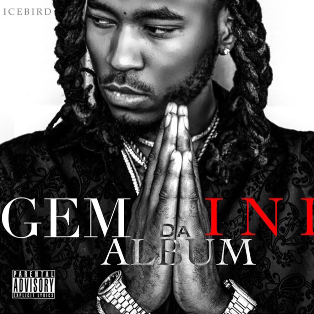 Picture of Gemini