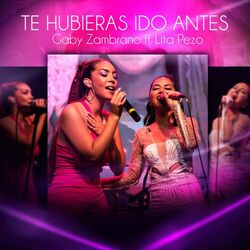 Cover of Te Hubieras Ido Antes