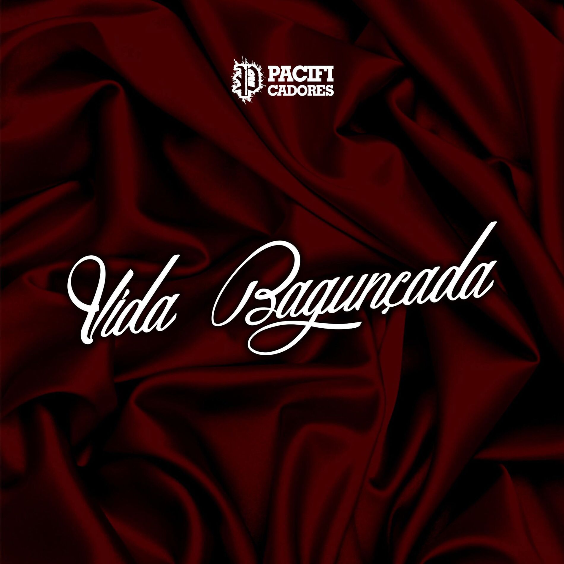 Album cover of Vida Bagunçada