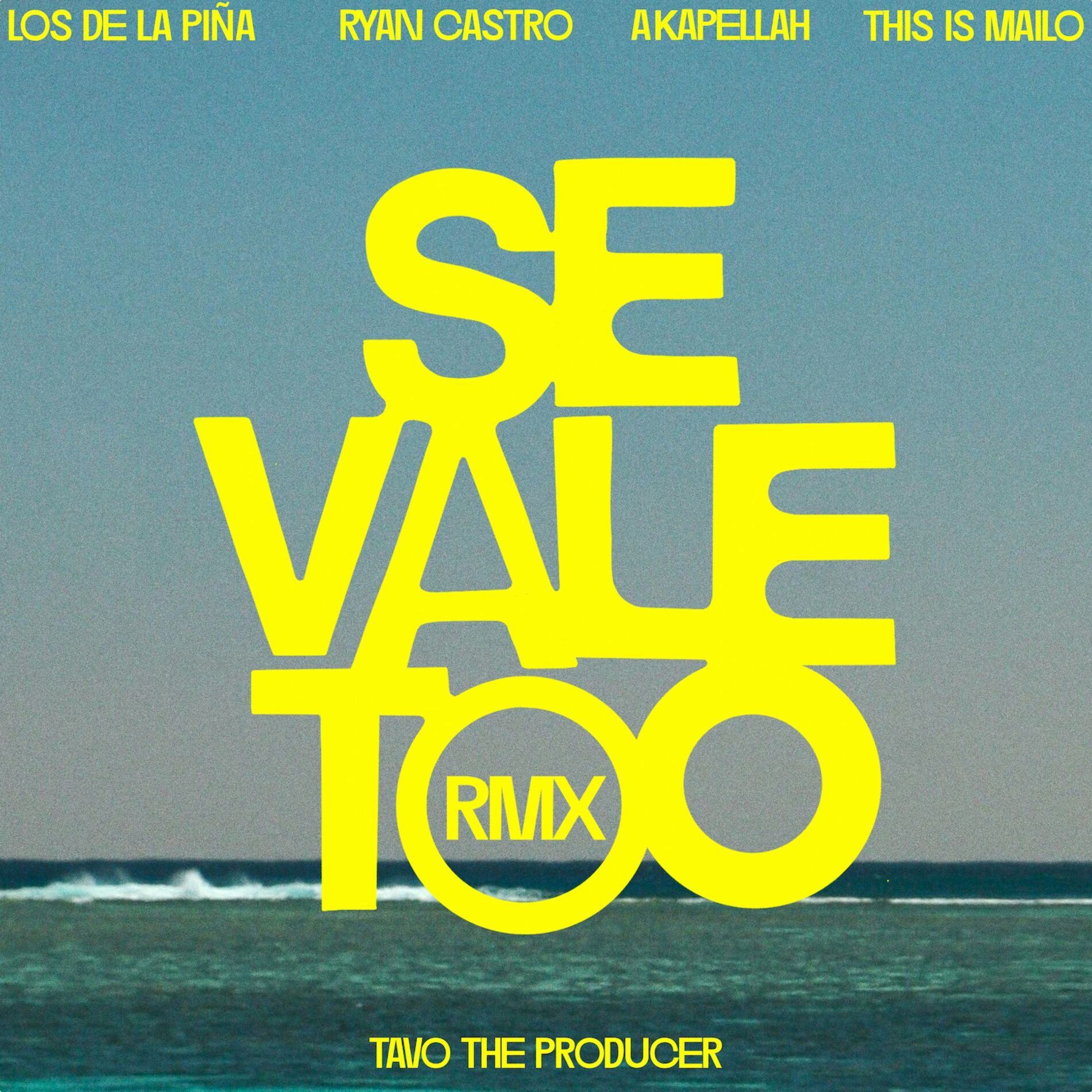 Album cover of SE VALE TOO (feat. This Is Mailo, Tavo the producer)