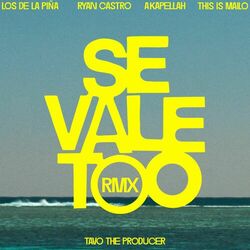 Cover of SE VALE TOO (feat. This Is Mailo, Tavo the producer) (Remix)