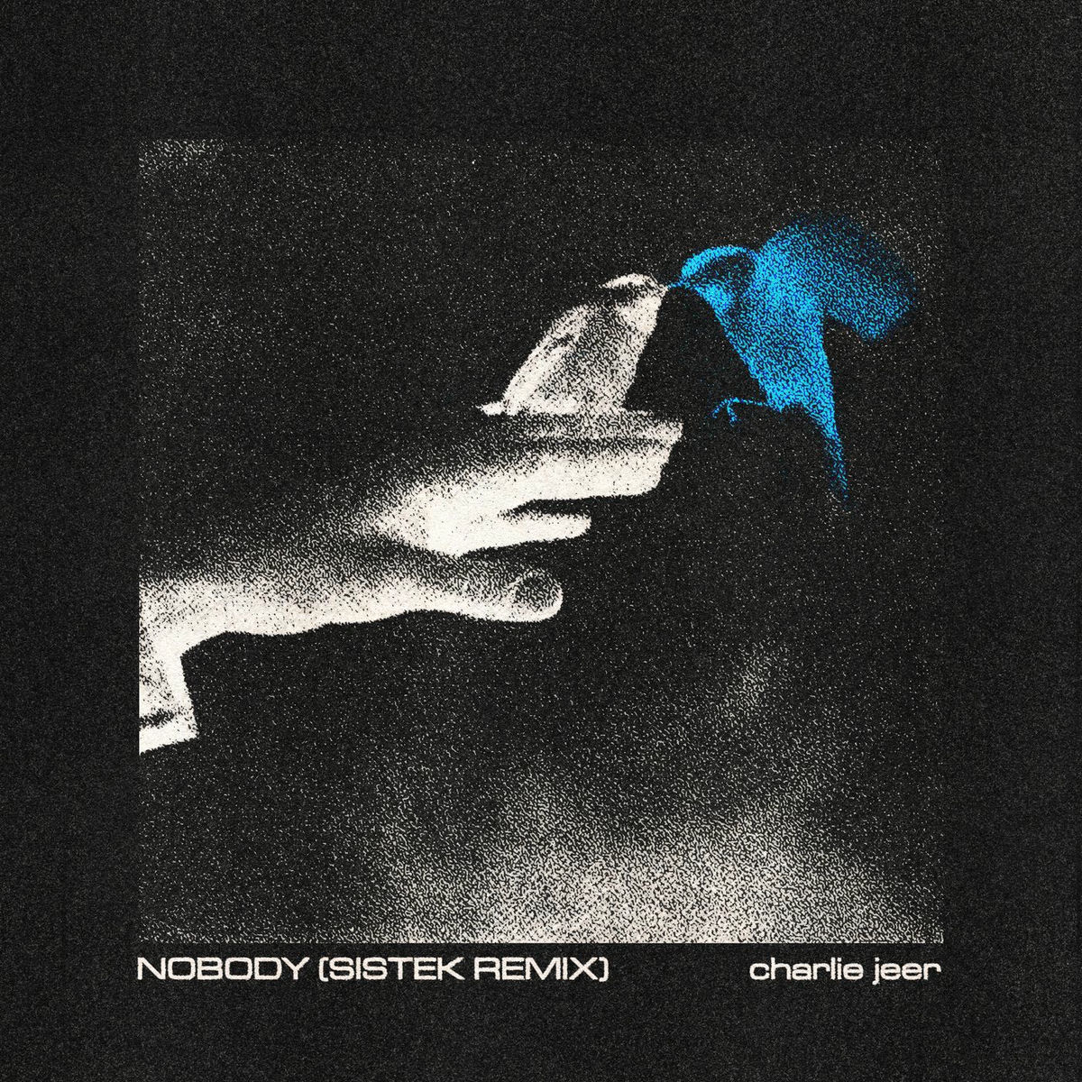 Album cover of Nobody