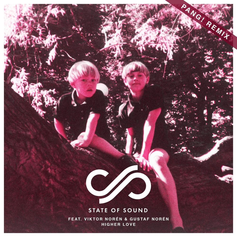 Picture of Higher Love (feat. Viktor Norén, Gustaf Norén & PANG!) (PANG! Remix)