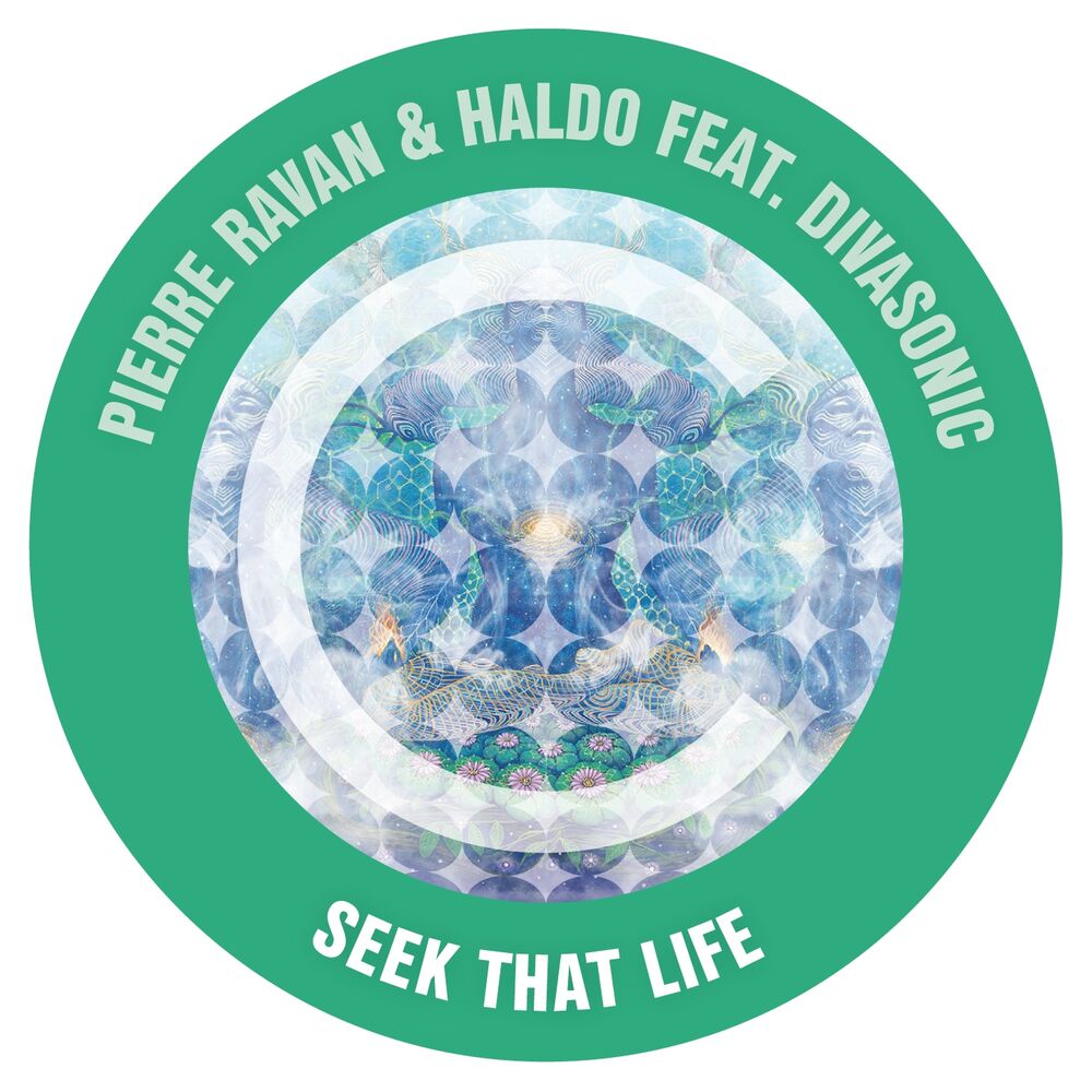 Picture of Seek That Life