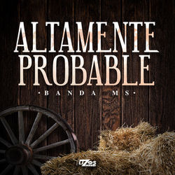 Cover of Altamente Probable