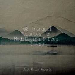 Cover of 100 Tranquil Melodies for Meditation & Deep Sleep