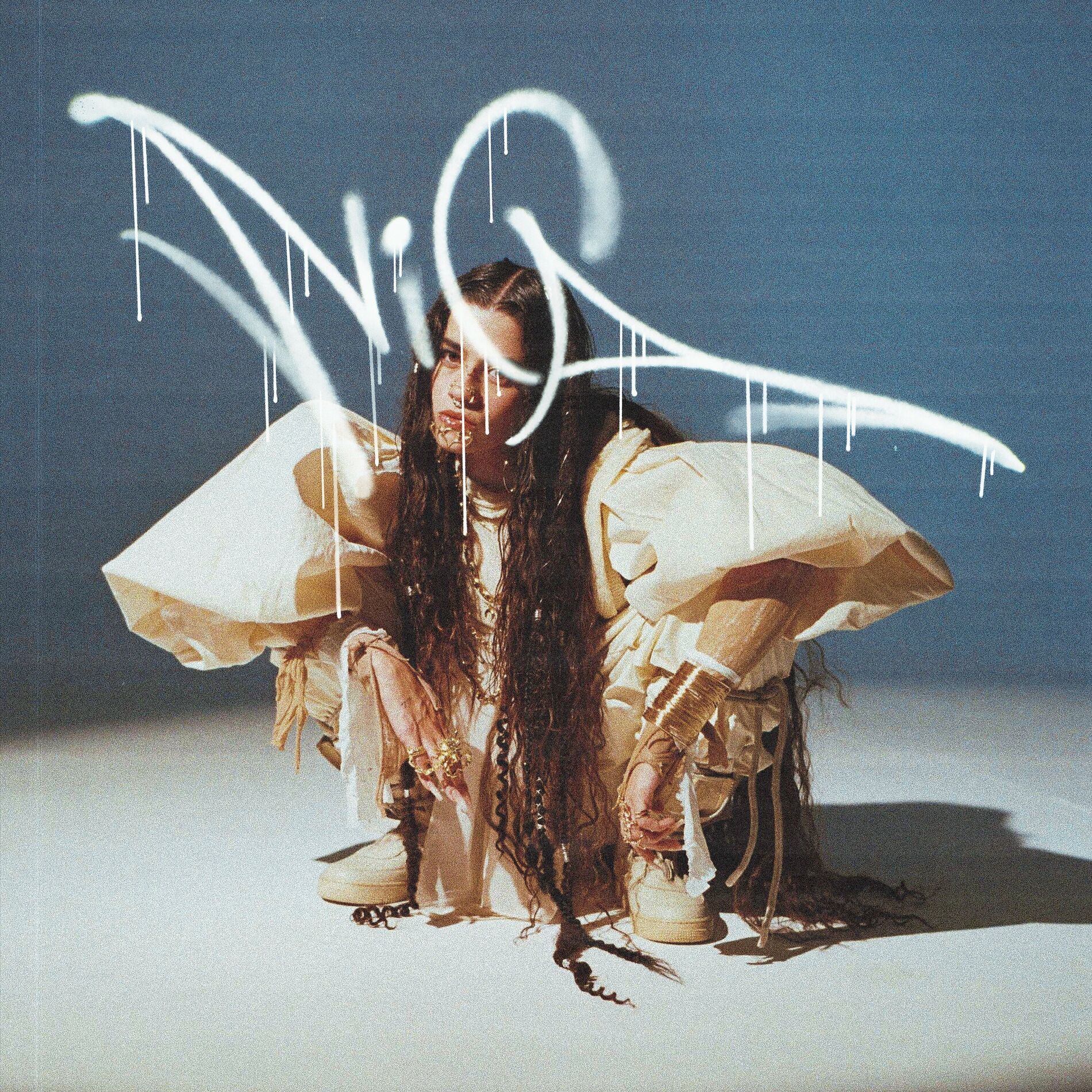 Album cover of NICA