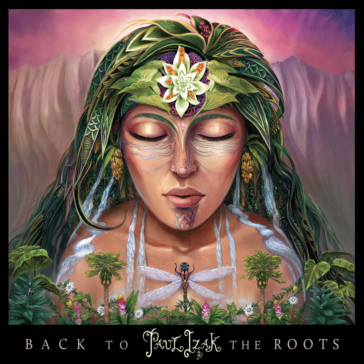 Album cover of Back to the Roots