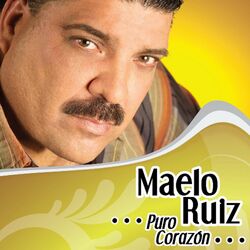 Cover of Puro Corazón